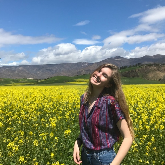 Meet your Posher, Bella - Picture 1 of 1